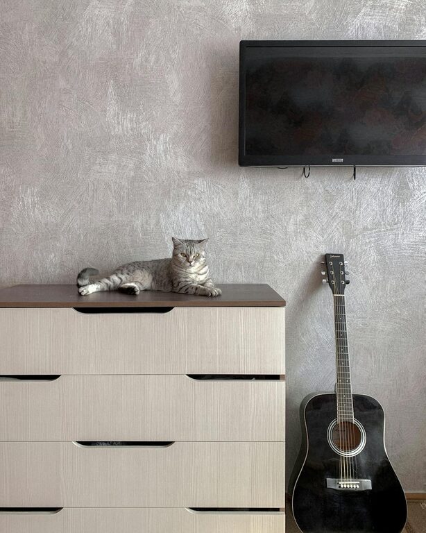 How to Set Up a Cozy and Pet-Friendly Home Corner